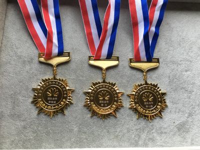 Three starburst gold-tone corporate award medals with dark centers and tricolor ribbons