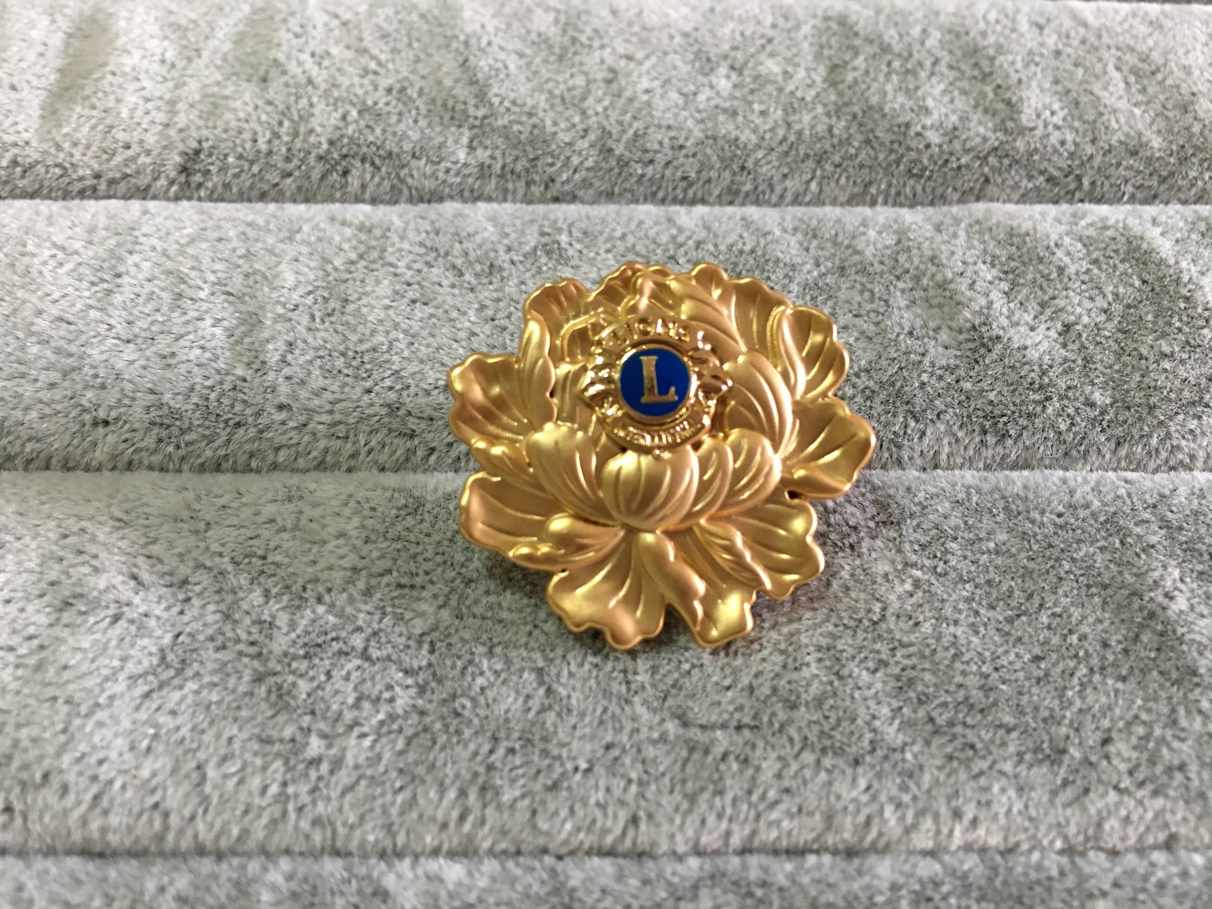 Pins 10